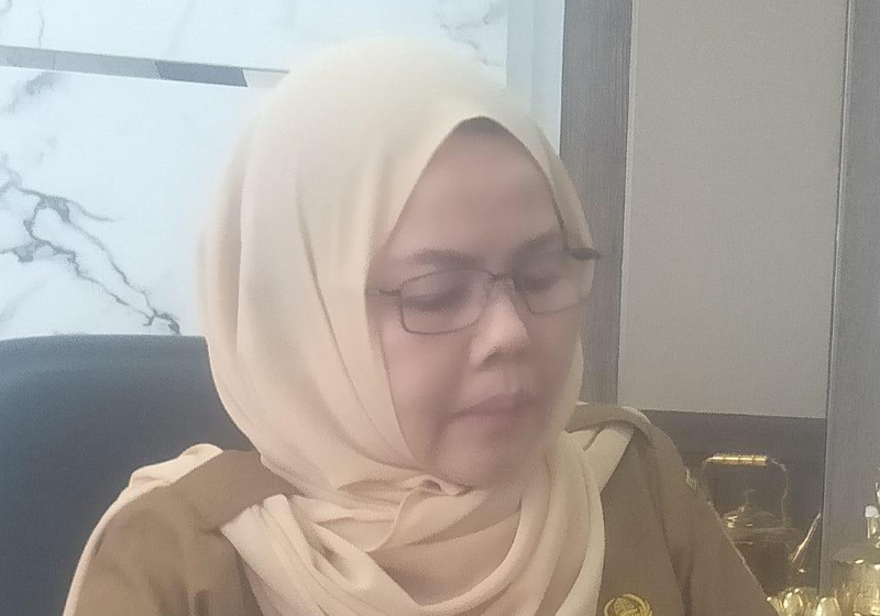 D:\2024\April 2024\17 April 2024\2\2\New Folder\Pemprov Tidak Terapkan WFH Bagi ASN.jpg