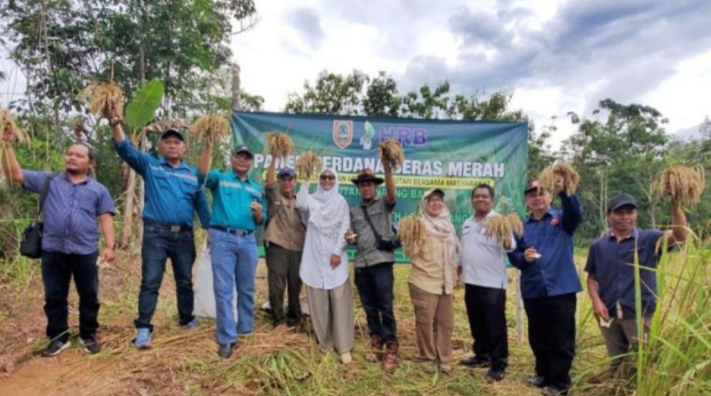 D:\2024\April 2024\30 April 2024\5\hal 5\hal 5\DISHUT Kalsel panen perdana.jpg