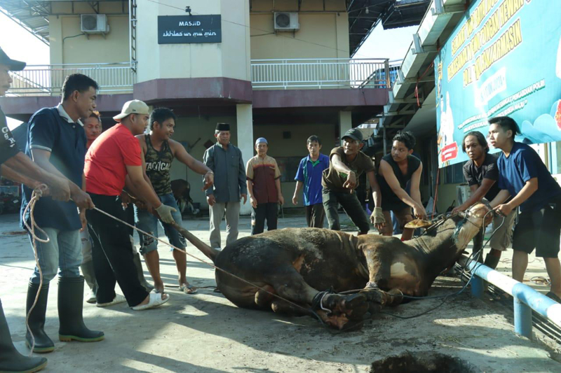 D:\2024\Juni 2024\19 Juni 2024\2\2\New Folder\Polresta Potong 22 Sapi dan Lima Kambing.jpg