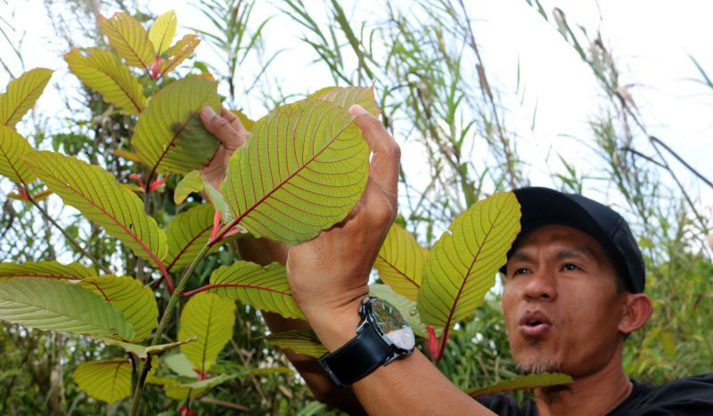 D:\2024\Juni 2024\26 juni 2024\11\Halaman 1-11 Rabu\mengenal.jpg