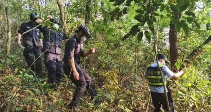 D:\2024\Juni 2024\5 Juni 2024\8\8\hutan.jpg