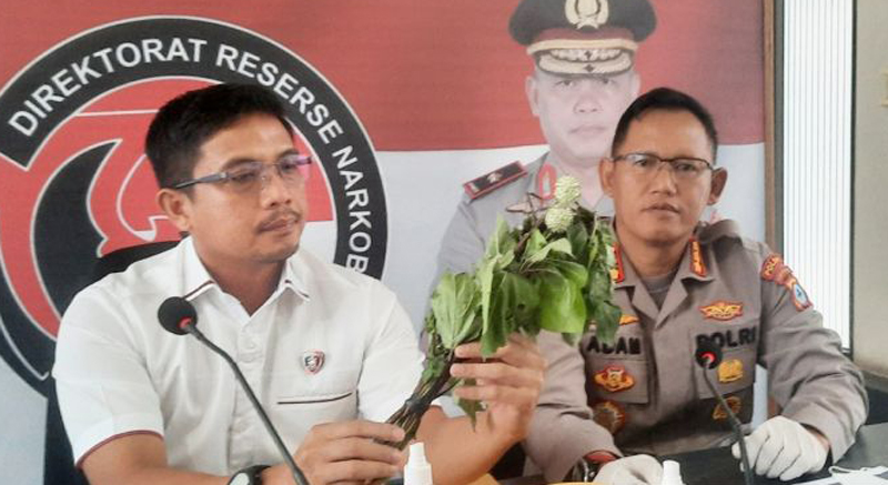 D:\2024\Juli 2024\17 Juli 2024\2\2\Kecubung Positif Mengandung Atropin dan Scopolamine.jpg