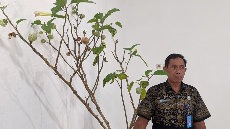 D:\2024\Juli 2024\20 Juli 2024\2\2\New Folder\Kepala BNNK Peringatkan Bahaya Kecubung.jpg