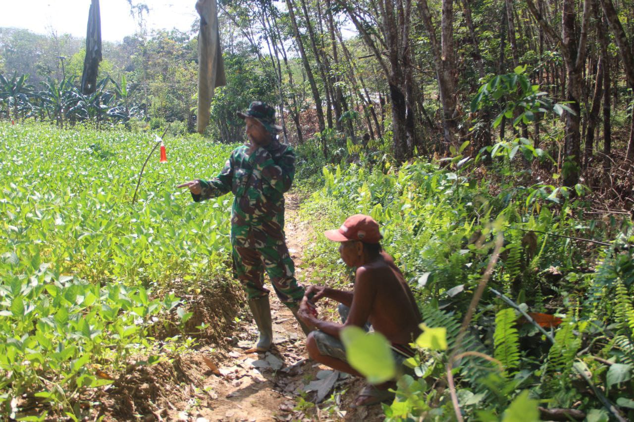 D:\2024\Agustus 2024\2 Agustus 2024\2\2\Satgas TMMD Beri Petani Motivasi.jpg