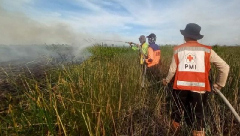 D:\2024\September 2024\18 September 2024\5\Petugas gabungan BPBD Kabupaten Banjar melakukan pemadaman karhutla.jpg