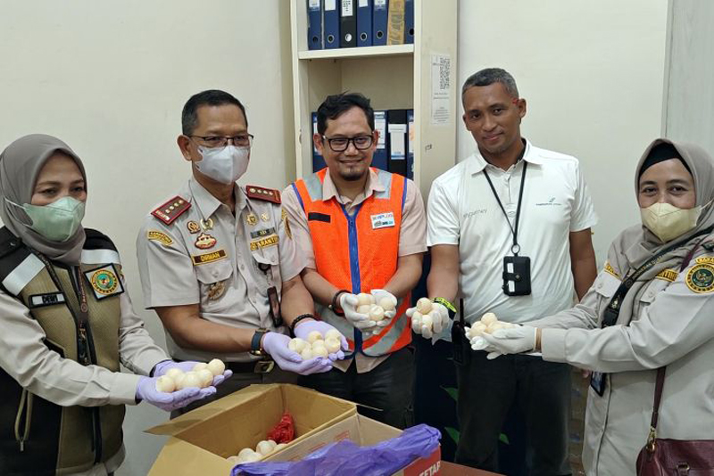 D:\2024\September 2024\6 September 2024\5\hal 5\hal 5\Petugas Karantina Kalsel berhasil gagalkan pengiriman telur penyu,.jpg