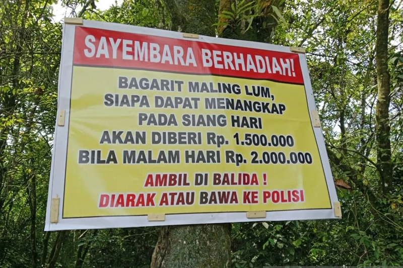 D:\2024\November 2024\4 November 2024\2\Warga Geram Pencurian Karet Kian Marak.jpg