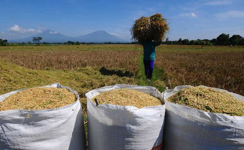 D:\2025\Januari 2025\14 Januari 2025\7\Halman ekonomi (14  Januari )\master 7.jpg