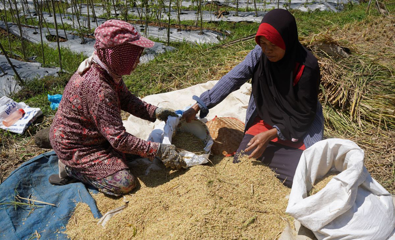 D:\2025\Januari 2025\3 Januari 2025\7\7\hal 7 - 2 klm (KIRI).jpg