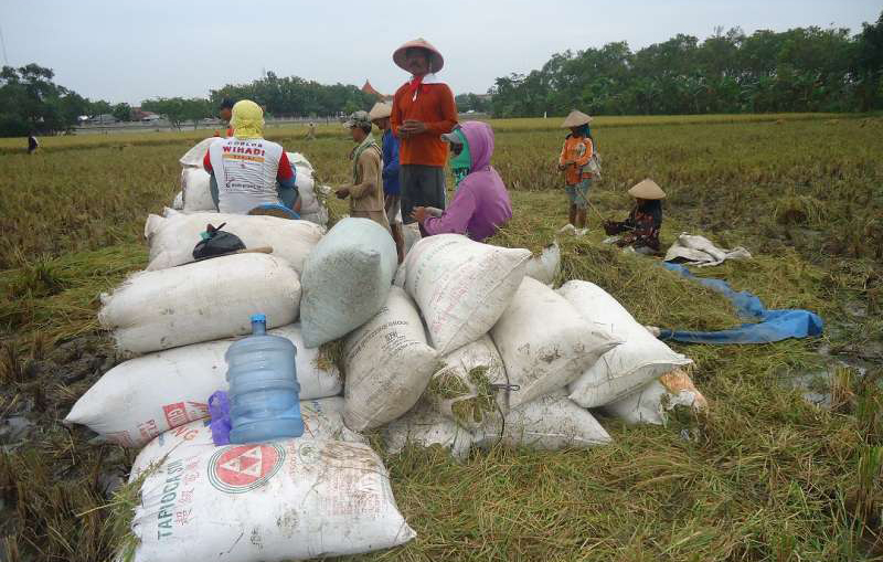 D:\2025\Januari 2025\31 Januari 2025\7\hal Ekonomi (31  Jan)\master 7.jpg