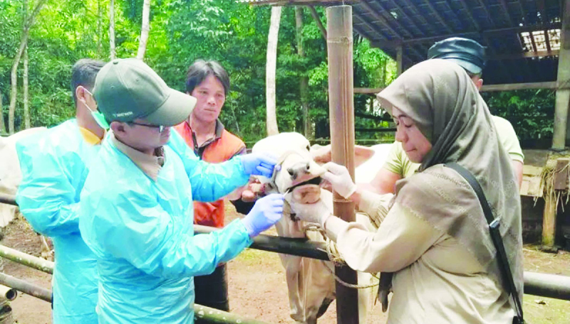 D:\2025\Januari 2025\7 Januari 2025\7\7\sdvs.jpg