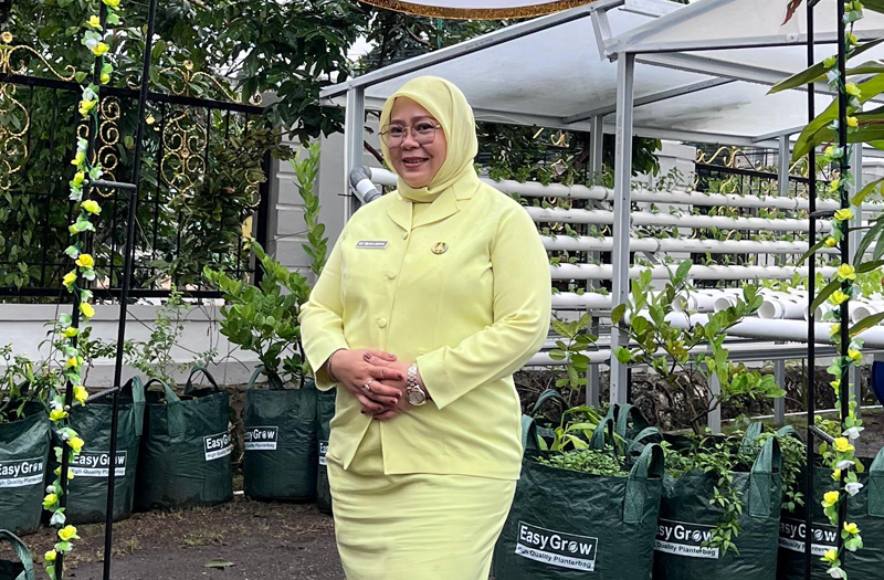 D:\2025\Februari 2025\19 Februari 2025\2\IAD Panen Tanaman dari Kebun Hidroponik.jpg