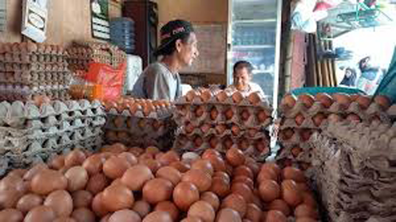 D:\2025\Februari 2025\5 Februari 2025\7\hal Ekonomi (05  Februari)\hal 7 - 2 klm (KIRI).jpg