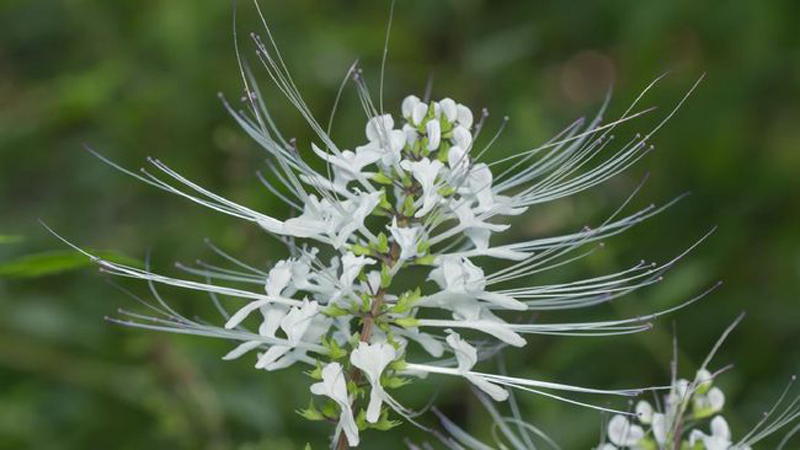 D:\2025\Maret 2025\12 Maret 2025\11\Halaman 1-11 Rabu\banyak.jpg