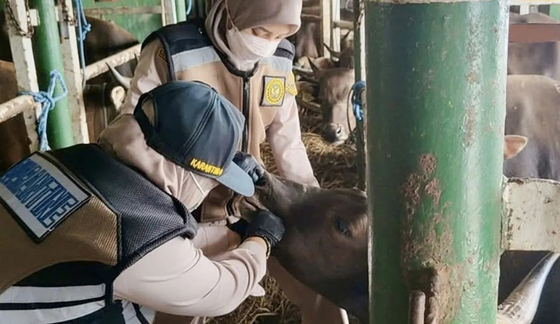 D:\2025\Maret 2025\13 Maret 2025\2\Karantina Awasi Komoditas di Pelabuhan.jpg