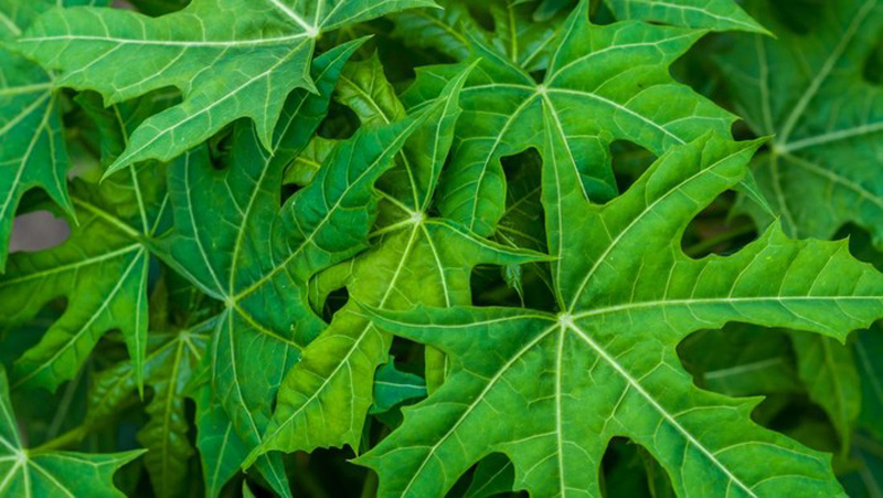 D:\2025\Maret 2025\17 Maret 2025\11\Halaman 1-11 Senin\inilah.jpg