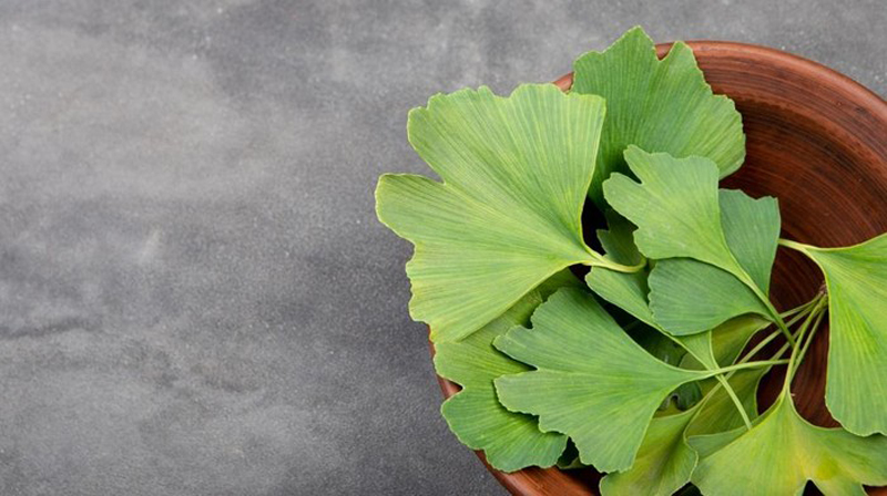 D:\2025\Maret 2025\19 Maret 2025\11\Halaman 1-11 Rabu\4 herbal.jpg