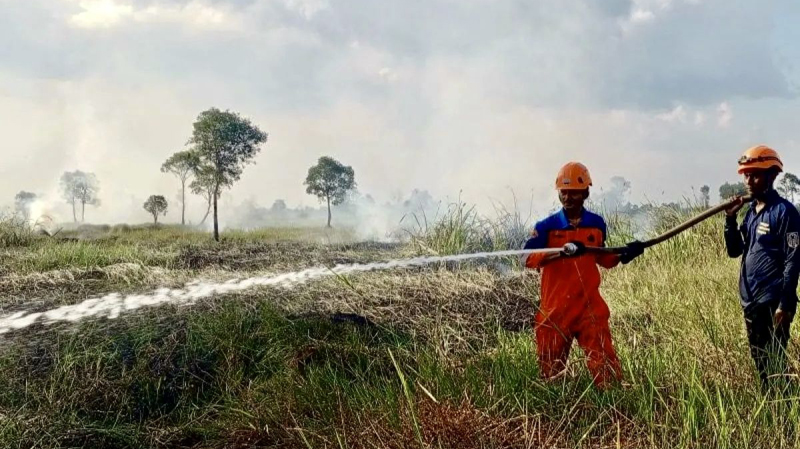 D:\2025\Maret 2025\20 Maret 2025\5\hal 5\Tim Tenaga Kebencanaan (TKB) BPBD Kalsel memadamkan kebakaran.jpg