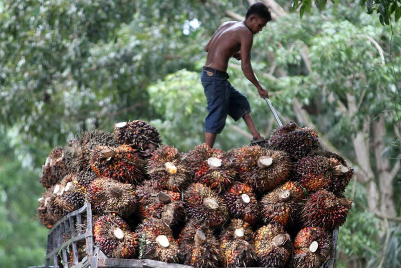 D:\2025\Mei 2025\19 Mei 2025\7\7\foto Berita HL.jpg
