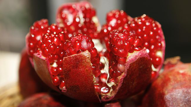 D:\2025\Mei 2025\21 Mei 2025\11\Halaman 1-11 Rabu\7 buah.jpg