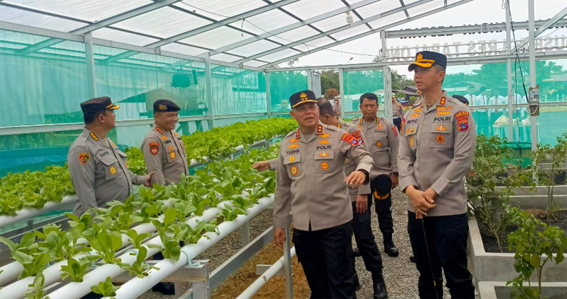 D:\2025\Mei 2025\26 Mei 2025\2\zcxz.jpg