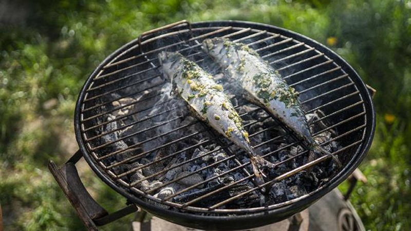 D:\2025\Juni 2025\19 Juni 2025\11\Halaman 1-11 Kamis\5 makanan.jpg