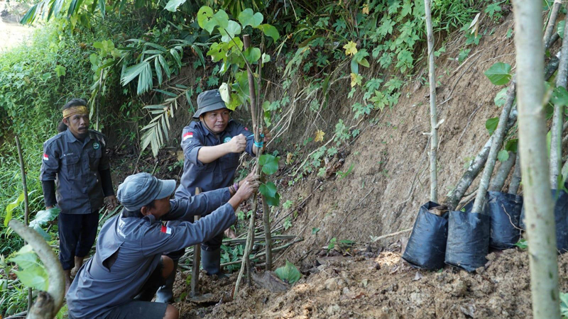 D:\2025\Juli 2025\30 Juli 2025\2\22\New Folder\Firman Tanam Pohon Bersama Kopi Basamut.jpg