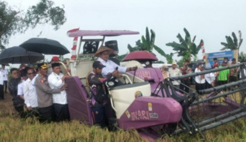 D:\2025\Agustus 2025\21 Agustus 2025\5\hal 5\Wakil Menteri Transmigrasi RI Viva Yoga Mauladi memanen.jpg