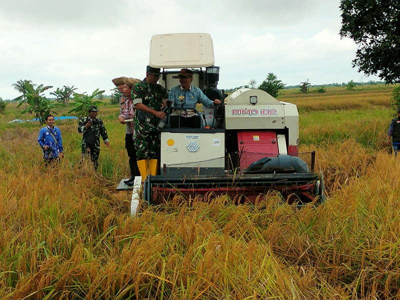 D:\2025\September 2025\12 September 2025\5\hal 5\Panen Raya di Sungai Lulut Dalam, Walikota Banjarmasin Yamin.jpg