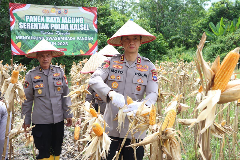 D:\2025\Oktober 2025\27 Oktober 2025\2\222\New Folder\Polres Tabalong Gelar Panen Raya Jagung Serentak.jpg