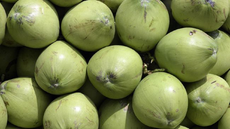 D:\2025\Oktober 2025\31 Oktober 2025\11\Halaman 1- 11 Jumat\ini dia.jpg