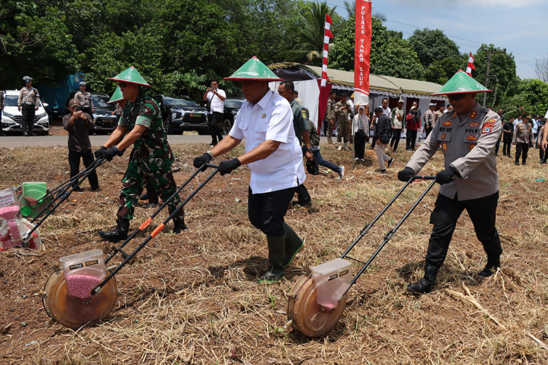 D:\2025\Oktober 2025\9 Oktober 2025\2\Pemkab Tala Dukung Penanaman Jagung di Tambang Ulang.jpg
