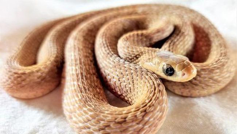 D:\2025\1 Desember 2025\11\Halaman 1-11 Senin\7 cara.jpg