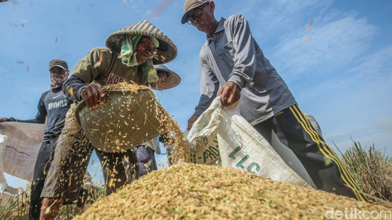 D:\2025\November 2025\10 November 2025\7\7\hal 7 - 2 klm (Bawah).jpg