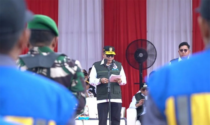 D:\2025\November 2025\13 November 2025\5\hal 5\dvds.jpg