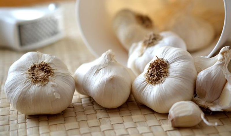 D:\2025\November 2025\19 November 2025\11\Halaman 1-11 Rabu\ini.jpg