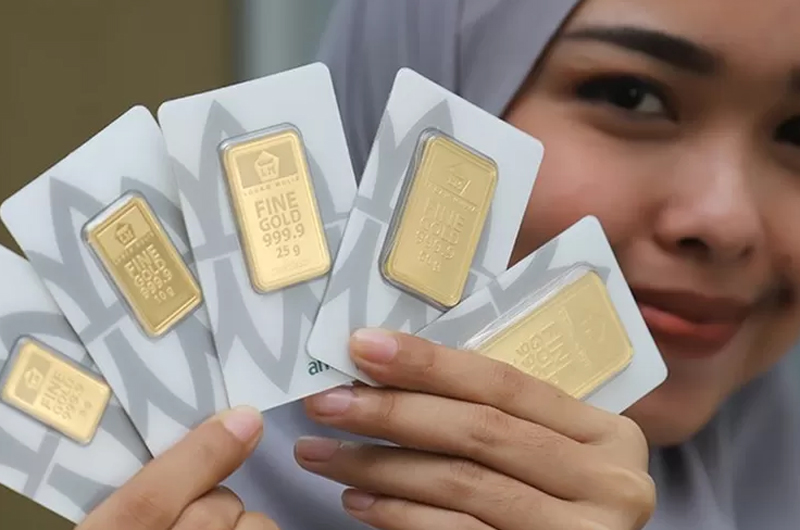 D:\2025\November 2025\19 November 2025\7\7\dfb.jpg