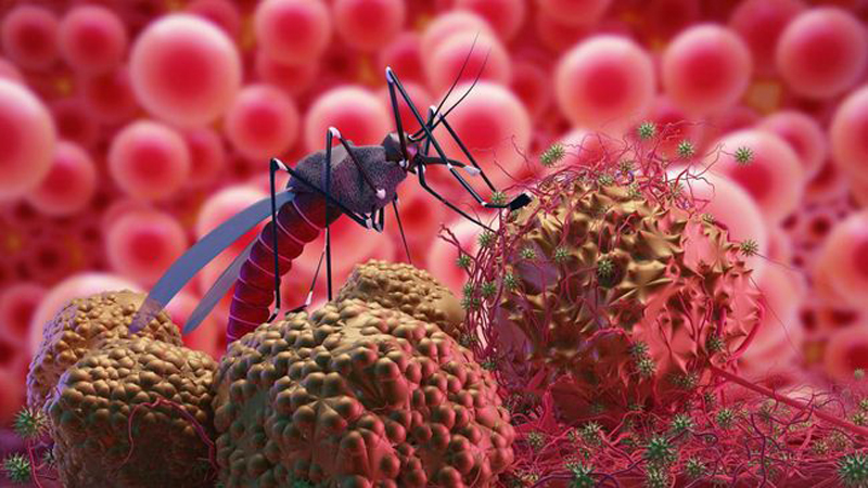 D:\2025\November 2025\21 November 2025\11\Halaman 1-11 Jumat\5 tanaman.jpg