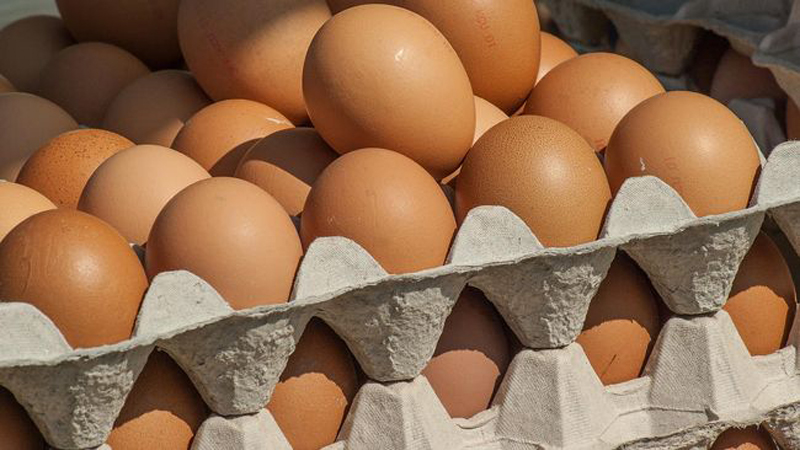 D:\2025\November 2025\25 November 2025\11\Halaman 1-11 Senin\kenapa.jpg