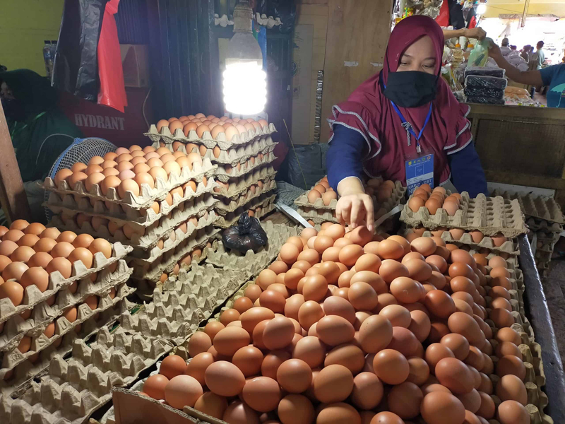 D:\2025\November 2025\25 November 2025\7\7\master 7.jpg