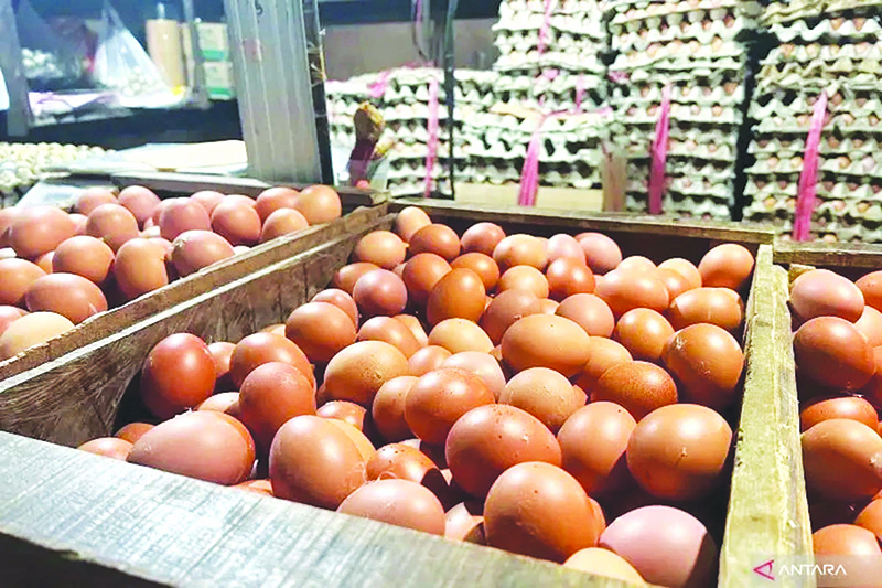 D:\2025\November 2025\3 November 2025 2025\7\7\ft master.jpg