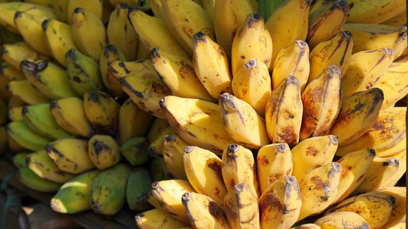 D:\2025\November 2025\4 November 2025\11\Halaman 1-11 Rabu\8 makanan.jpg