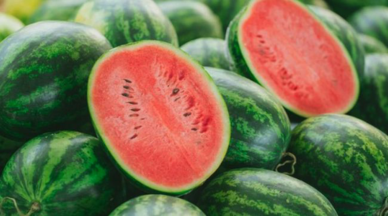 D:\2025\Desember 2025\11 Desember 2025\11\Halaman 1-11 Kamis\picu.jpg