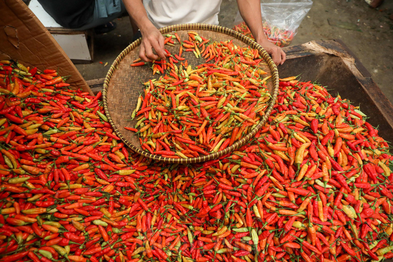 D:\2025\Desember 2025\12 Desember 2025\7\7\hal 7 - 2 klm (KIRI).jpg