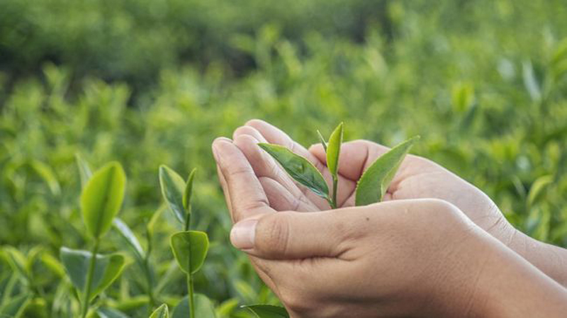 D:\2025\Desember 2025\3 Desember 2025\11\Halaman 1-11 Rabu\6 air.jpg