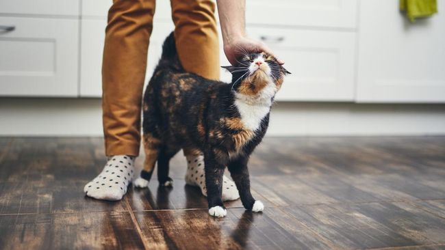 E:\Ronny\Halaman 1-11 Selasa\jangan.jpeg