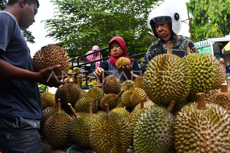 G:\2025\2026\Januari\7 Januari 2026\7\7\durian.jpg