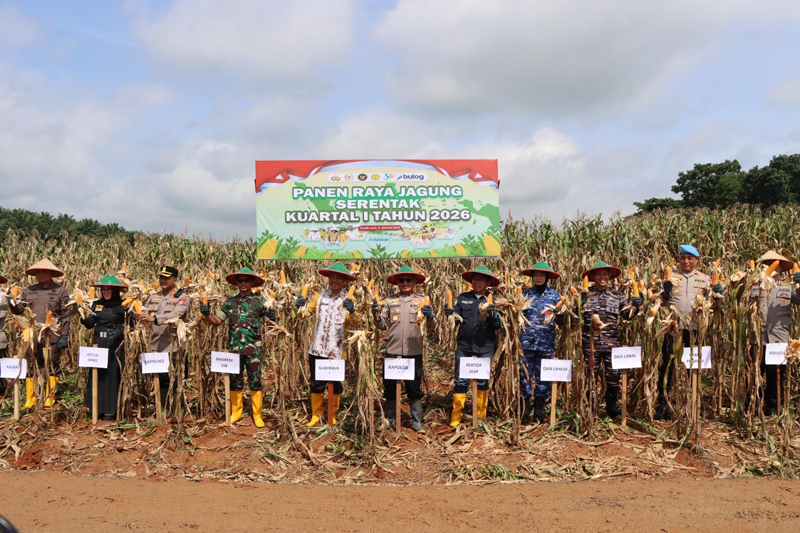 G:\2026\Januari\12 Januari 2026\2\2222\New Folder\panen raya.jpg