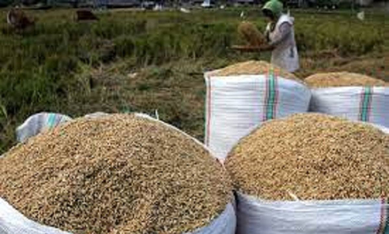 G:\2026\Januari\14 Januari 2026\7\7\hal 7 - 2 klm Bawah).jpg