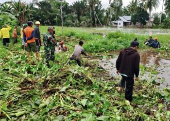 D:\2025\Januari 2025\17 Januari 2025\2\Lansia Hilang Saat Memancing di HSS.jpg